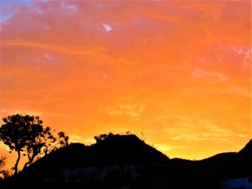 Heritage Bungalow 97 Ajmer  - Gallery -  5