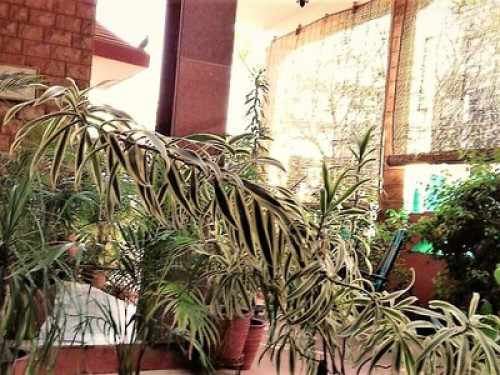  Cozy Homestay Nain's Kunj