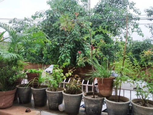  Welcome to our home!  - Gallery - 9