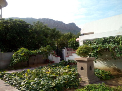 Close to nature