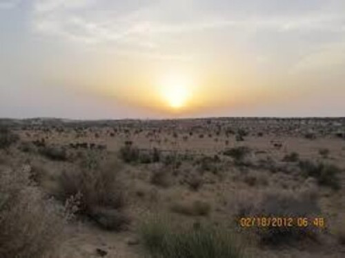 badal house khuri - Gallery - 44