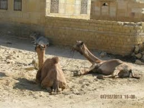 badal house khuri  - Gallery -  5