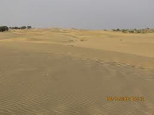badal house khuri - Gallery - 41