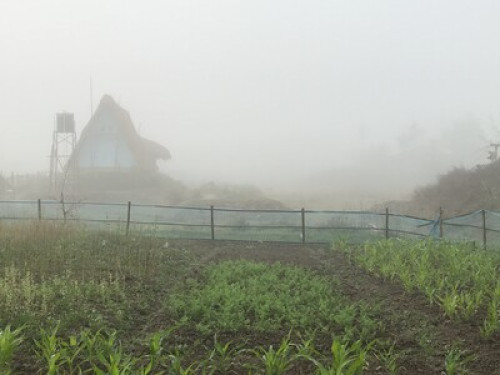 Stay at the Rhino land 