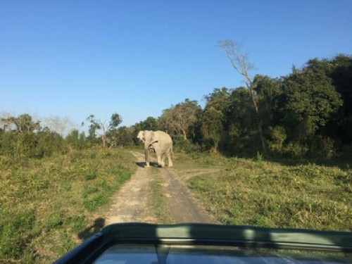 Stay at the Rhino land  - Gallery - 17
