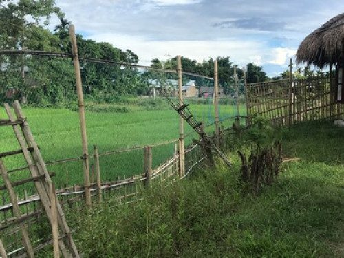 Stay at the Rhino land  - Gallery - 11