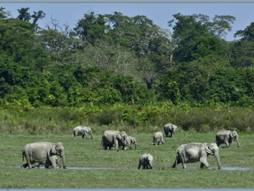 Stay at the Rhino land  - Gallery - 16