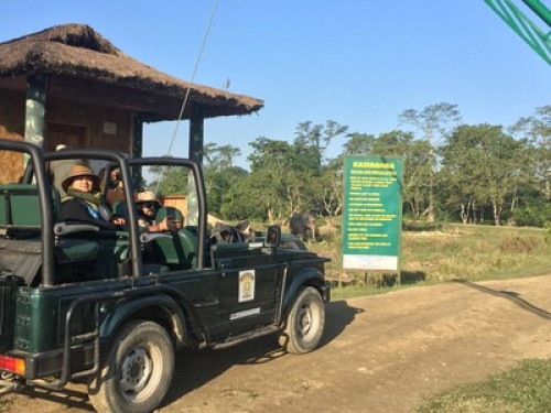 Stay at the Rhino land 