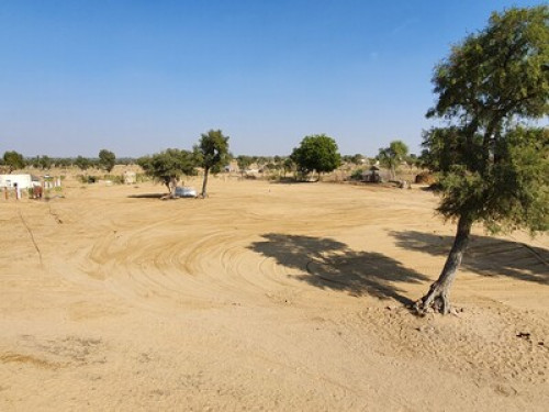 Dev Bagh- Experience Thar Desert
