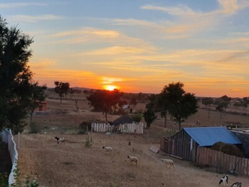 Dev Bagh- Experience Thar Desert