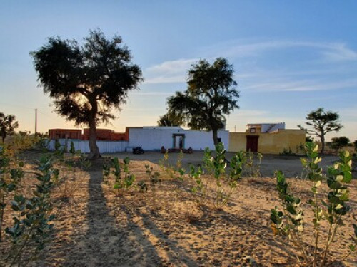 Dev Bagh- Experience Thar Desert