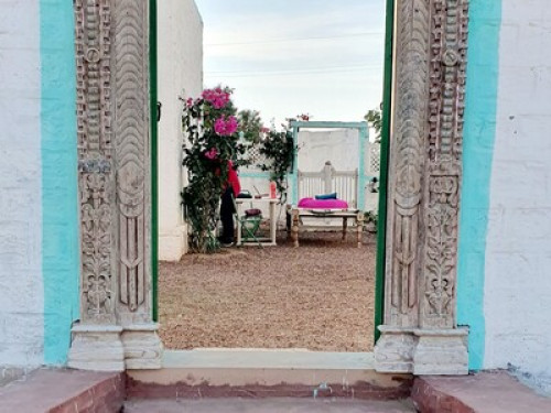 Dev Bagh- Experience Thar Desert - Gallery - 7