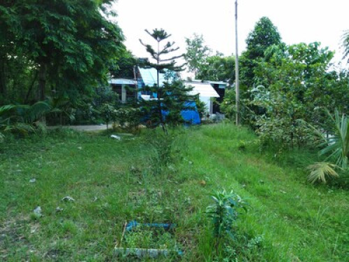 Vastu villa, homestay