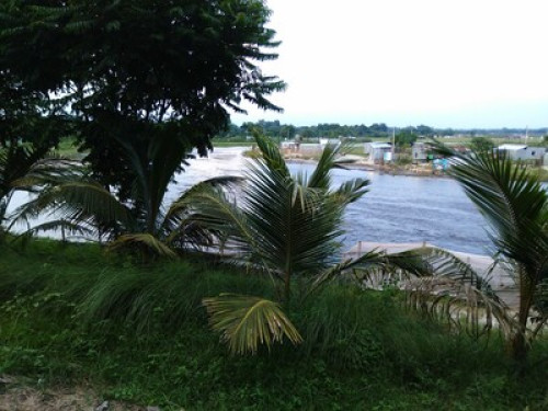 Vastu villa, homestay