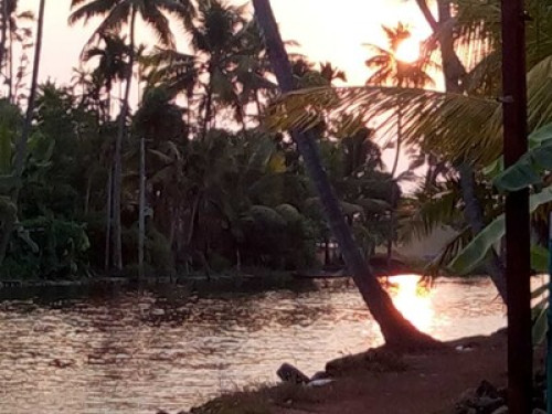 white house home stay  in alleppey - Gallery - 9