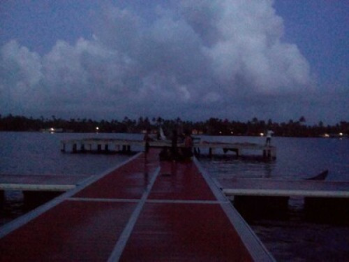 white house home stay  in alleppey