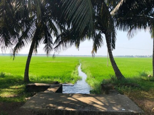 Friendly family at Marari Beach