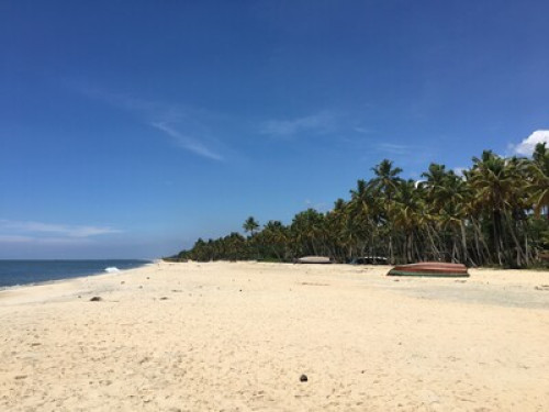 Friendly family at Marari Beach - Gallery - 15