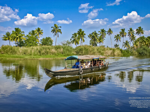 Green village life - Gallery - 16