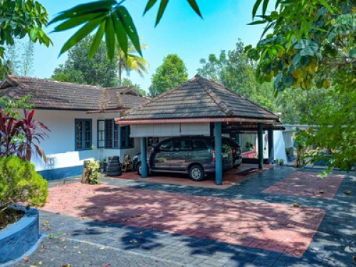 Green village life - Gallery - 13