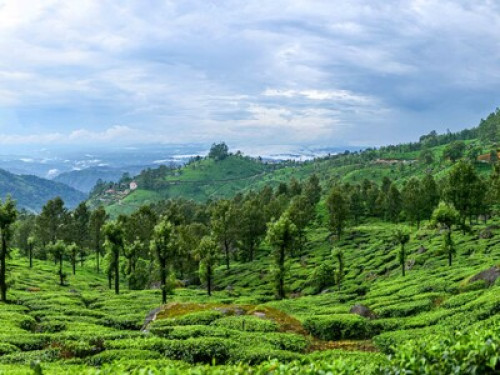 Green village life  - Gallery -  5