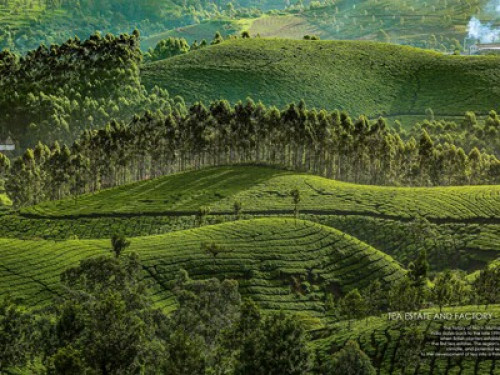 Green village life - Gallery - 10