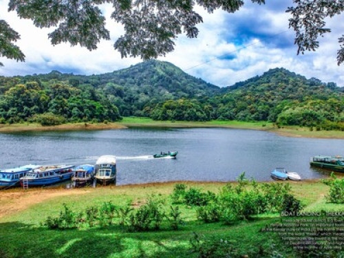 Green village life - Gallery - 14