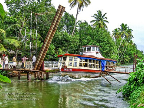 Green village life - Gallery - 12