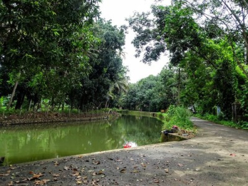 Village atmosphere in River Bank - Gallery - 9
