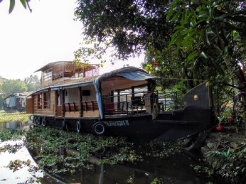 Village atmosphere in River Bank - Gallery - 13
