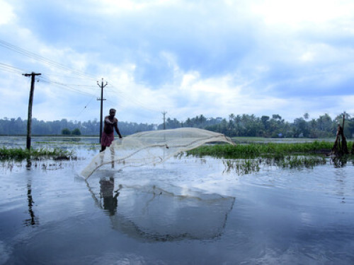 Village atmosphere in River Bank
