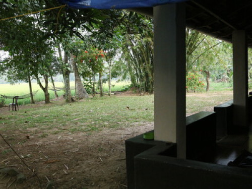 Friendly family in Kerala Backwater - Gallery - 8