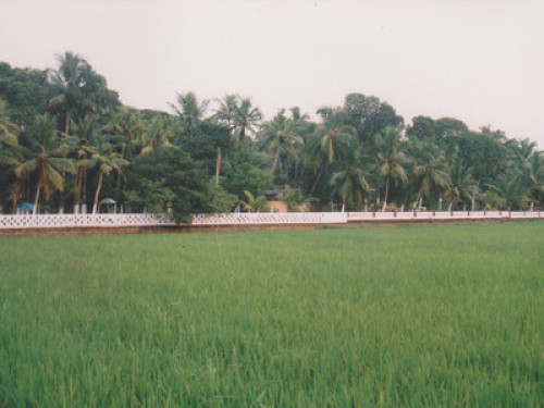  traditional Kerala style - Gallery - 7