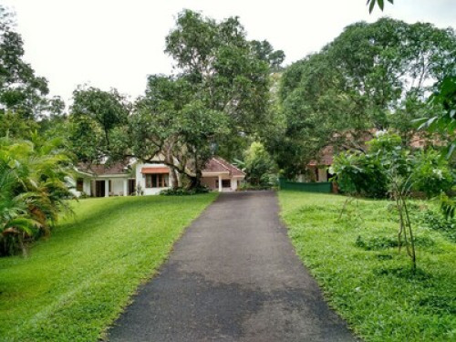Kuruvinakunnel  Tharavadu Homestay - Gallery - 13