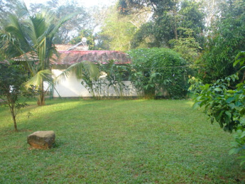 Kuruvinakunnel  Tharavadu Homestay - Gallery - 10