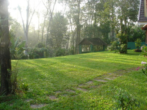 Kuruvinakunnel  Tharavadu Homestay