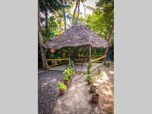 Marari arthunkal beach villa - Gallery - 10