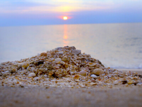 Marari arthunkal beach villa - Gallery - 21