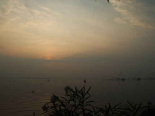 friendly,lakeview with greenary - Gallery - 24