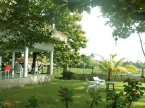 friendly,lakeview with greenary - Gallery - 26