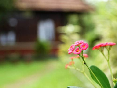 LOVEDALE LAKESIDE HOMESTAY - Gallery - 21