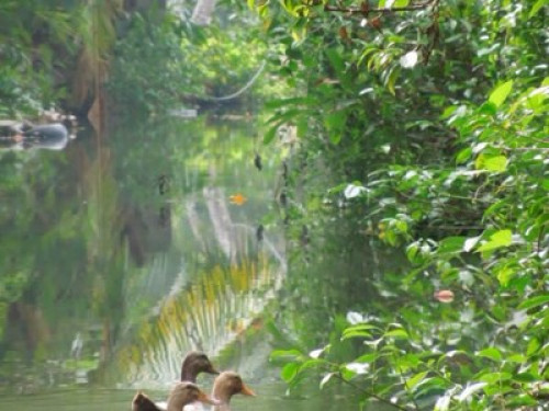 Arshatheeram Tourist Zone  - Gallery - 5