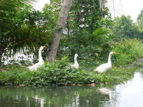 Arshatheeram Tourist Zone  - Gallery - 9