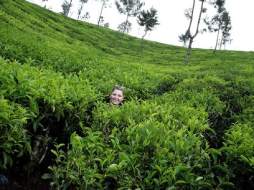 A heritage homestay  - Gallery -  5