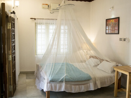 Homestay with ayurveda in Fortkochi  - Gallery -  5