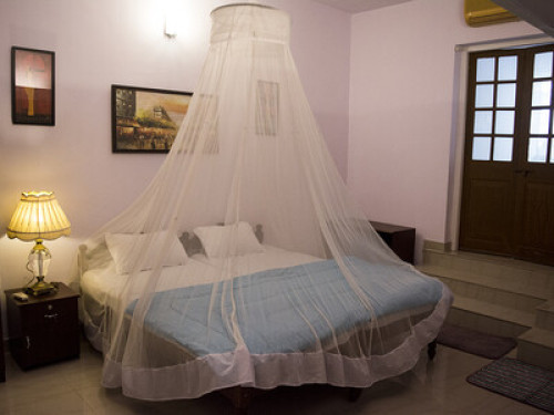 Homestay with ayurveda in Fortkochi - Gallery - 16