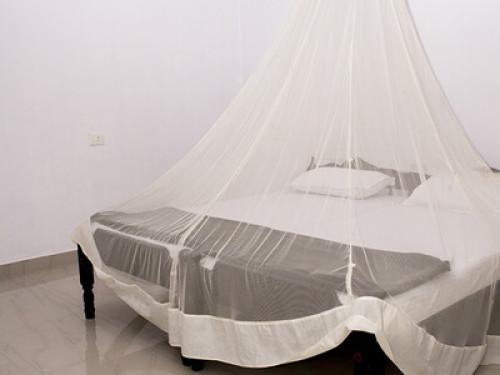 Homestay with ayurveda in Fortkochi - Gallery - 15