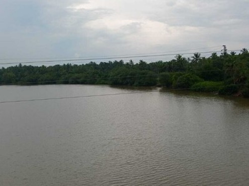 Shruthi's Aarohi - Nature's Retreat