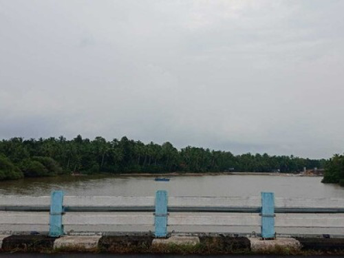 Shruthi's Aarohi - Nature's Retreat