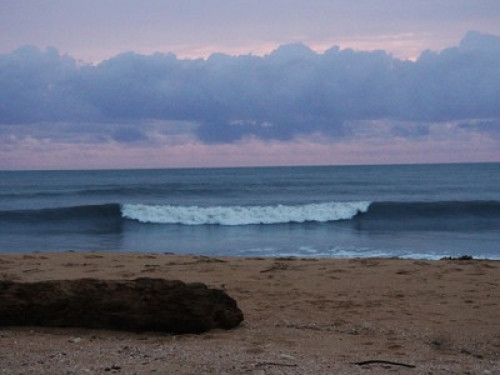 Beach view homestay - Gallery - 16